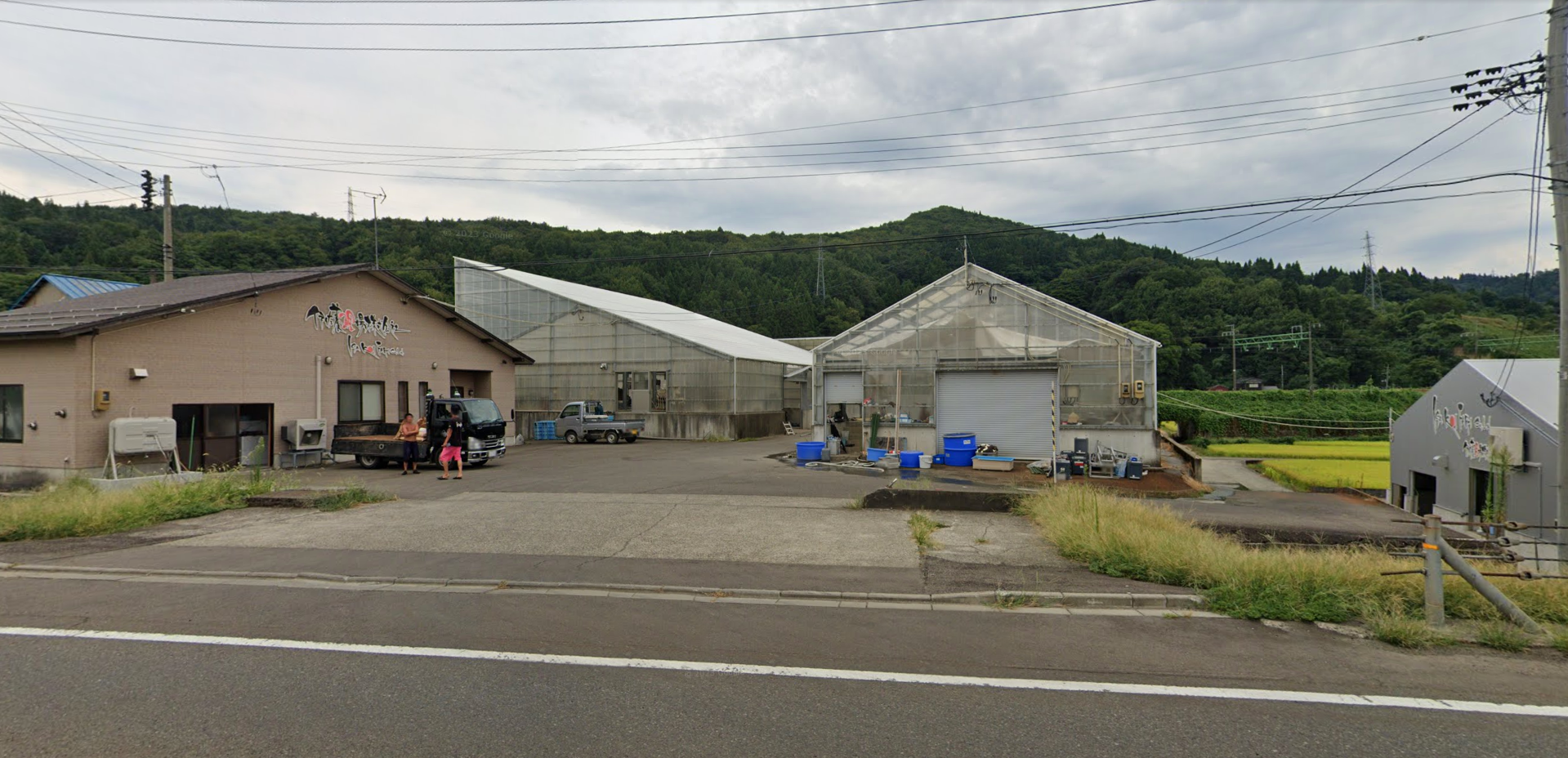 a street view of Isa Koi Farm