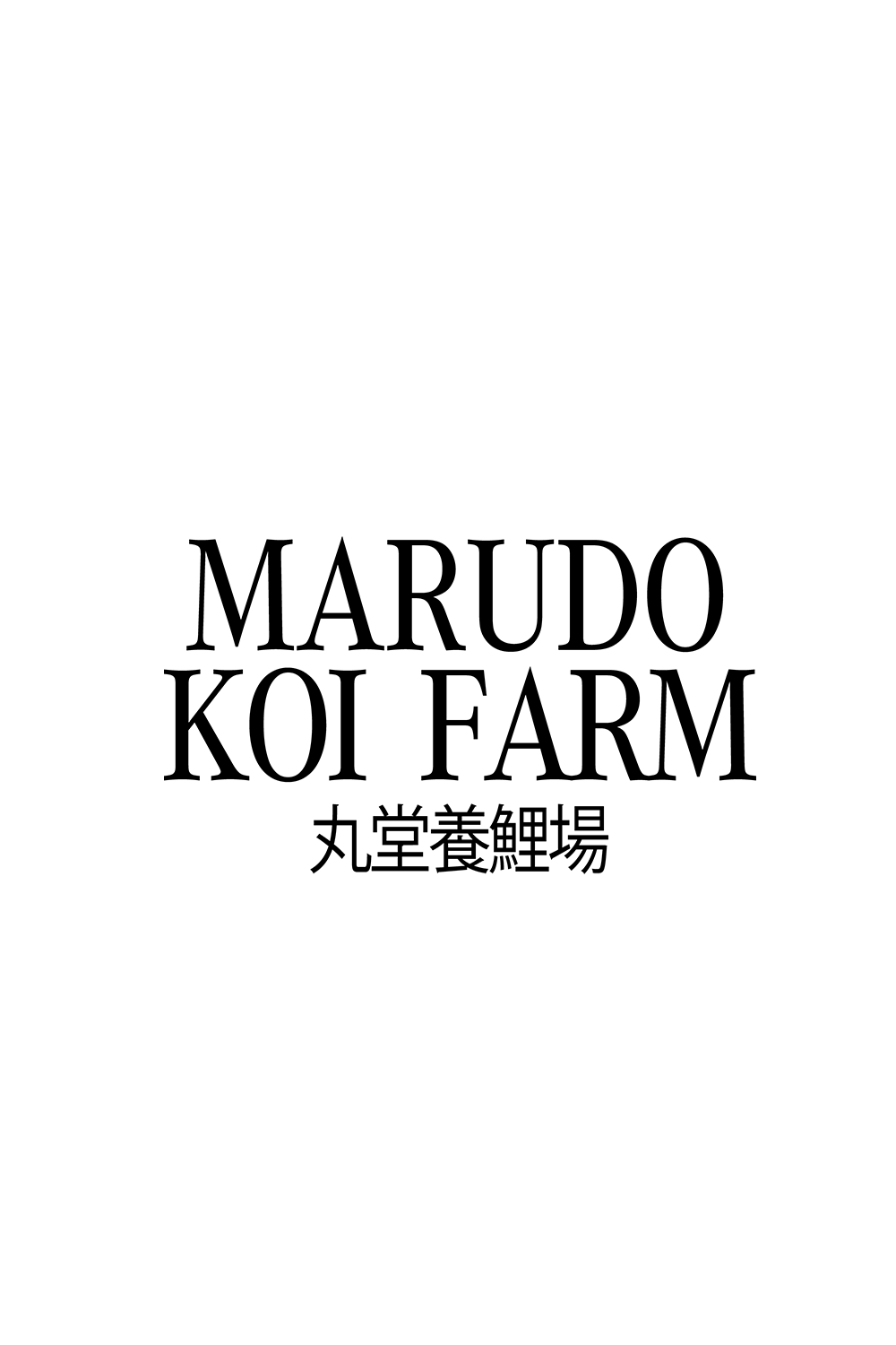 Chagoi tosai mix - 12-14cm - Marudo Koi Farm