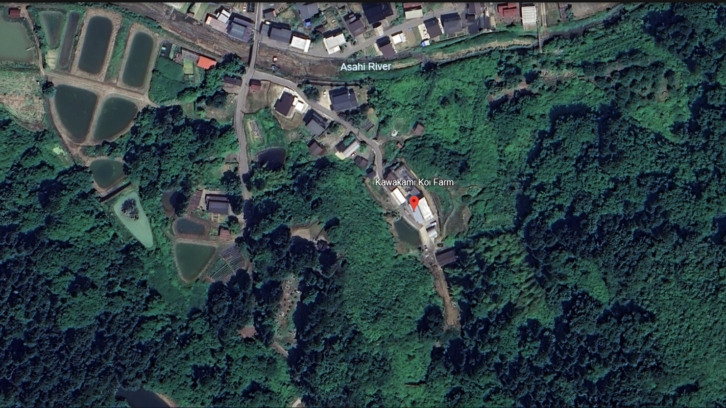 An aerial view of Kawakami Fish Farm.
