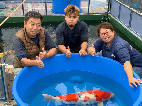 Three people posing with a large blue container holding a red and white fish, giving thumbs up.