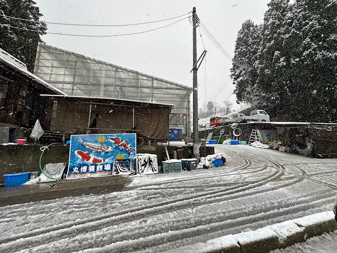 Snowy street with buildings and signs in a rural area