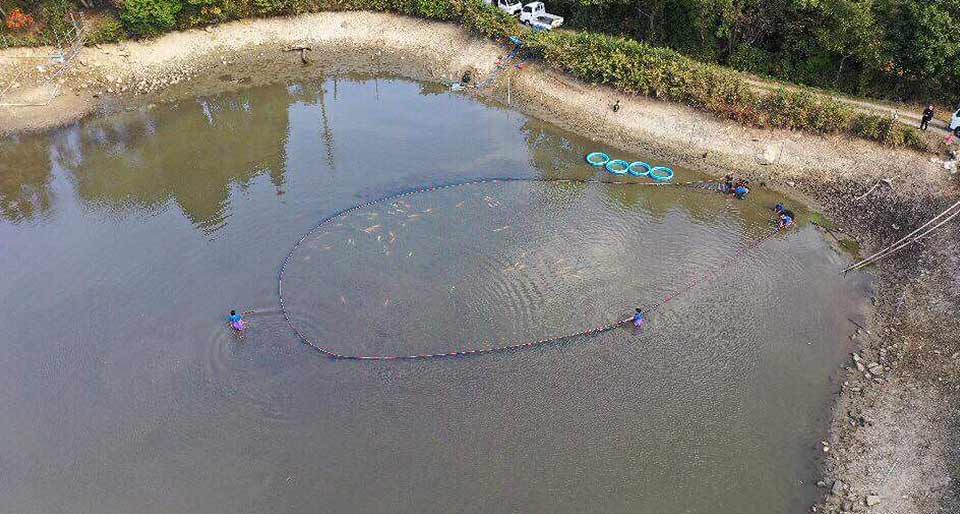 Aerial view of a pond with people working around it, possibly involved in aquaculture or environmental activities.
