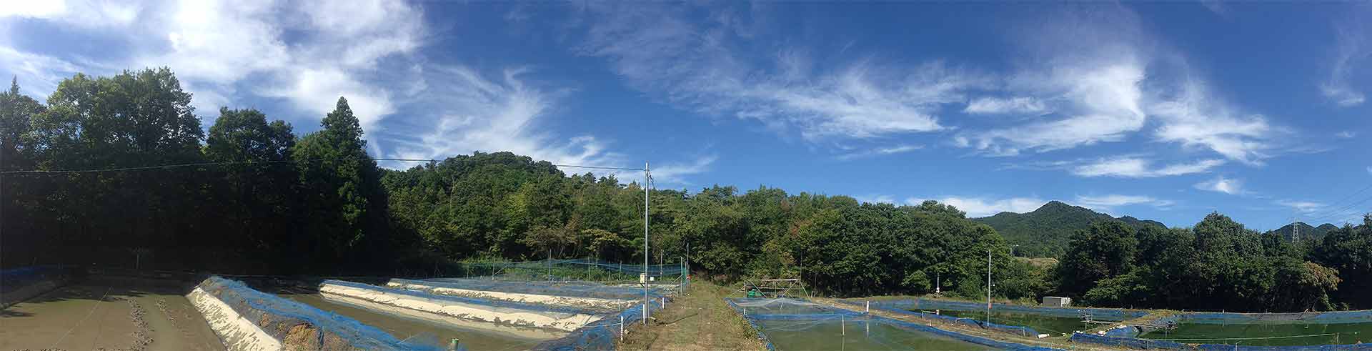 A wide outdoor landscape scene with a blue sky, white clouds, green trees, and a farm-like structure with long white buildings and blue fencing in the foreground.