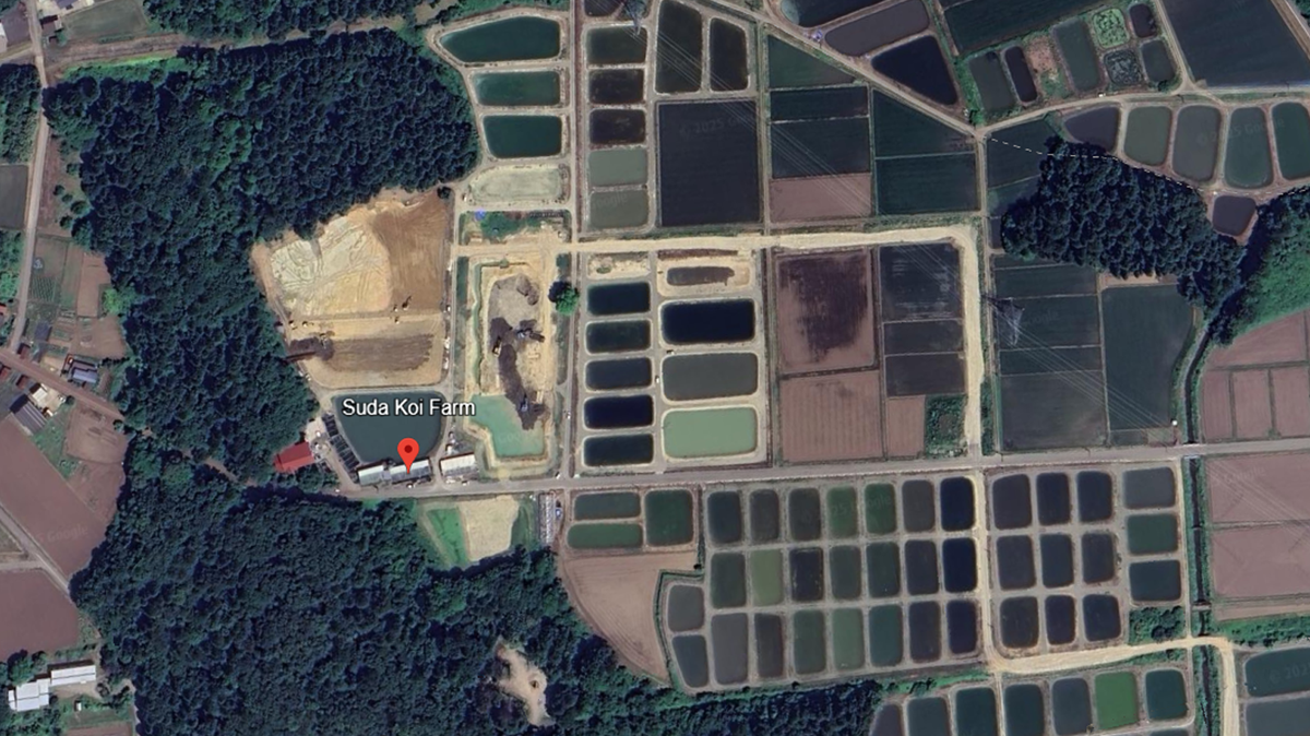 Aerial satellite view of an industrial facility labeled 'Suda Koi Farm' situated among rectangular ponds and forested areas.
