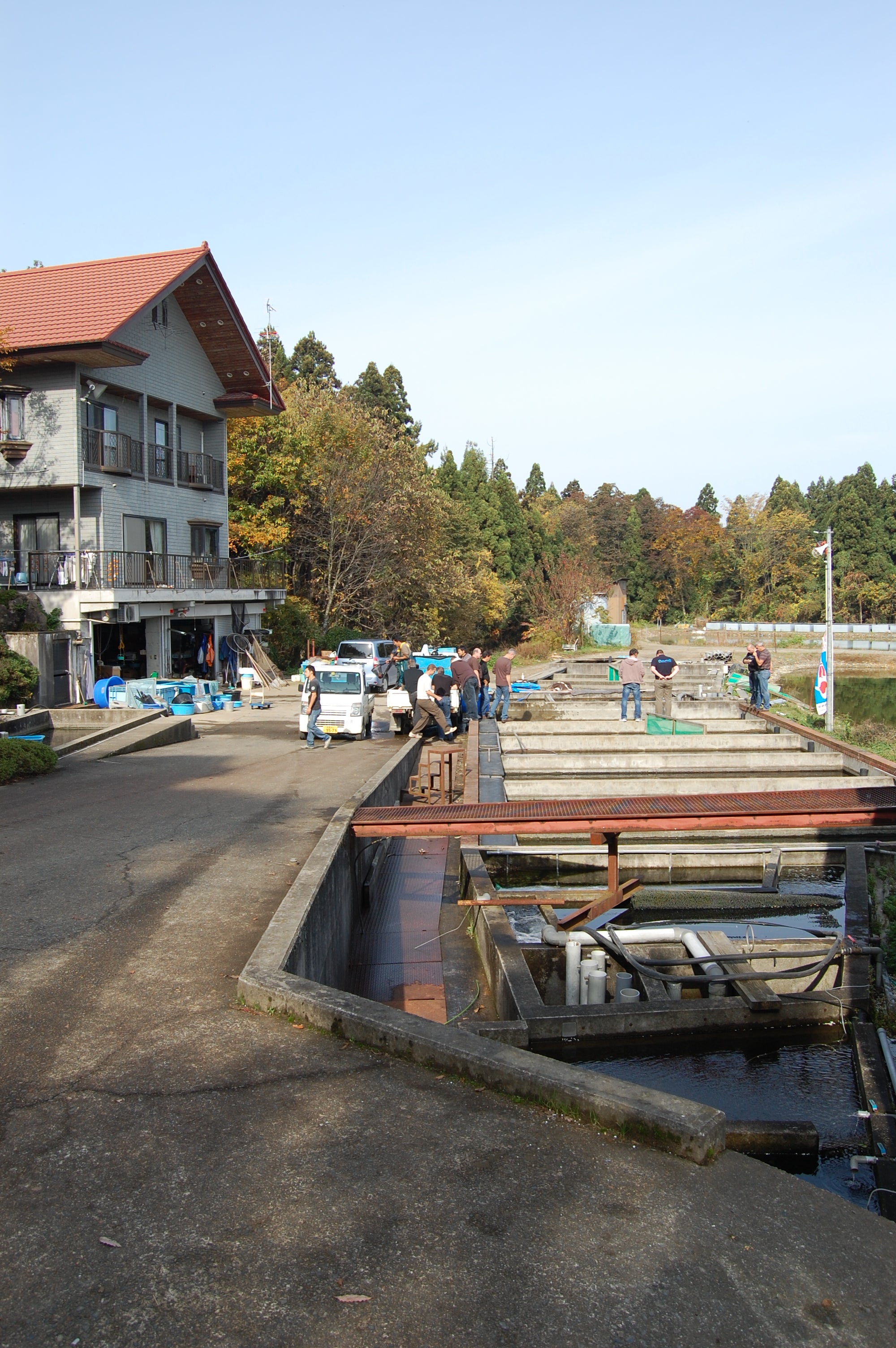 Boat dock with boats and a building in the background