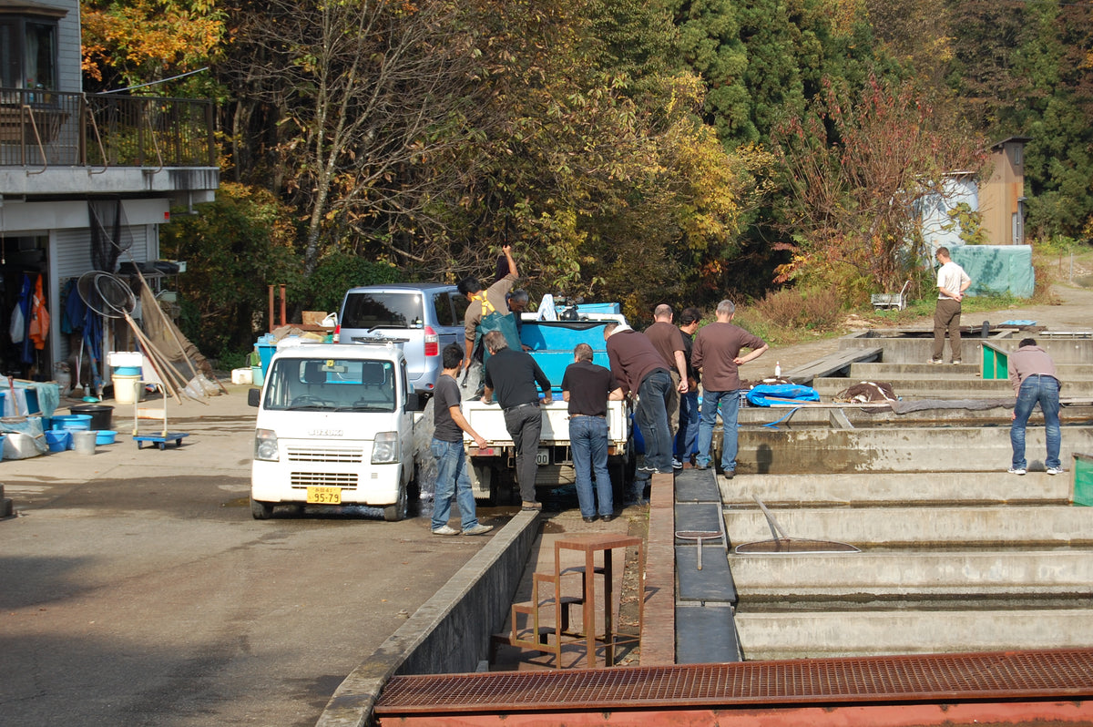 A group of men standing around a white utility truck parked in an outdoor industrial or farm-like setting with concrete structures, trees, and vehicles in the background.