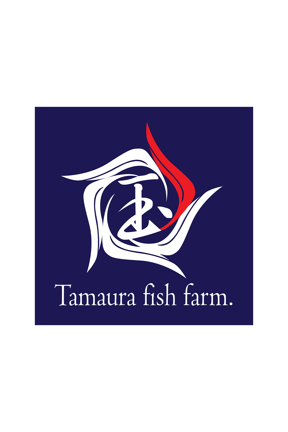 Kohaku - jumbo tosai 28cm - Tamaura Koi Farm (TAM-KOH-04)